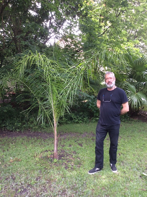 bearded man with palm tree